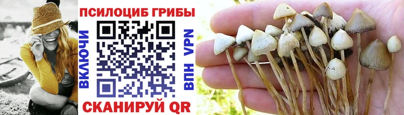 Купить  Нягань  Псилоцибиновые грибы мицелий 